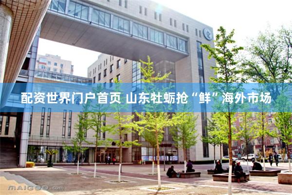 配资世界门户首页 山东牡蛎抢“鲜”海外市场