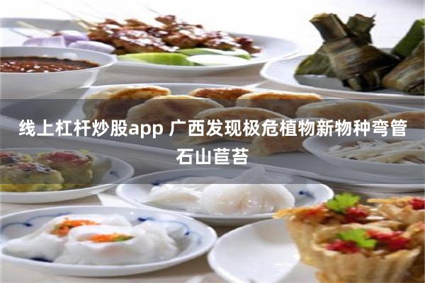 线上杠杆炒股app 广西发现极危植物新物种弯管石山苣苔