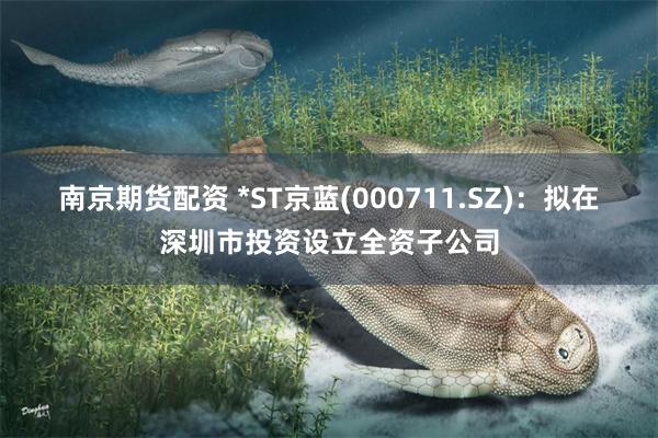南京期货配资 *ST京蓝(000711.SZ)：拟在深圳市投资设立全资子公司