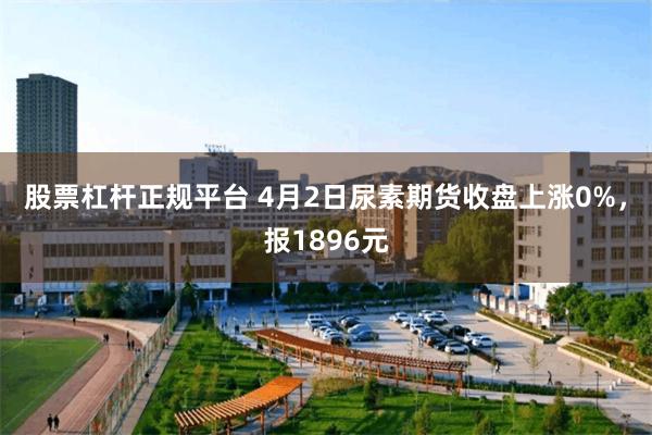 股票杠杆正规平台 4月2日尿素期货收盘上涨0%，报1896元