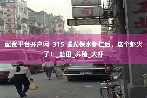 配资平台开户网  315 曝光保水虾仁后，这个虾火了！_盐田_养殖_大虾