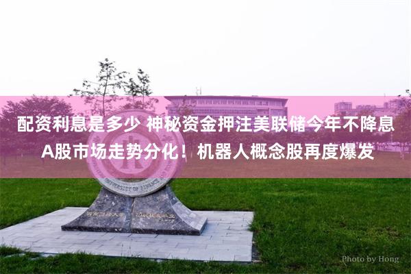 配资利息是多少 神秘资金押注美联储今年不降息 A股市场走势分化！机器人概念股再度爆发