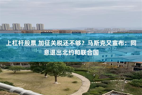 上杠杆股票 加征关税还不够？马斯克又宣布：同意退出北约和联合国