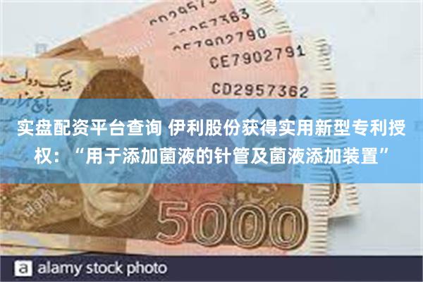 实盘配资平台查询 伊利股份获得实用新型专利授权：“用于添加菌液的针管及菌液添加装置”