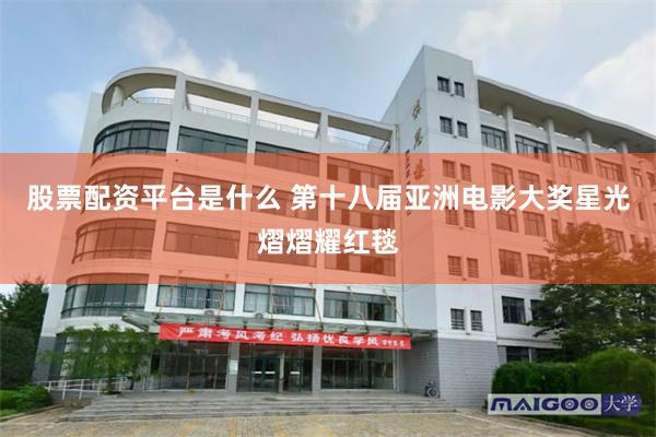 股票配资平台是什么 第十八届亚洲电影大奖星光熠熠耀红毯
