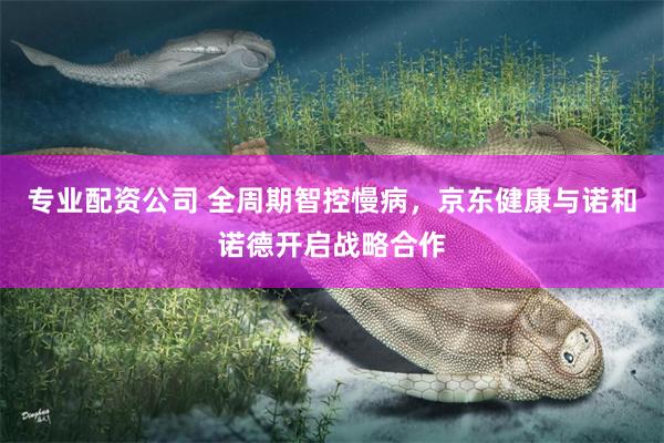专业配资公司 全周期智控慢病，京东健康与诺和诺德开启战略合作