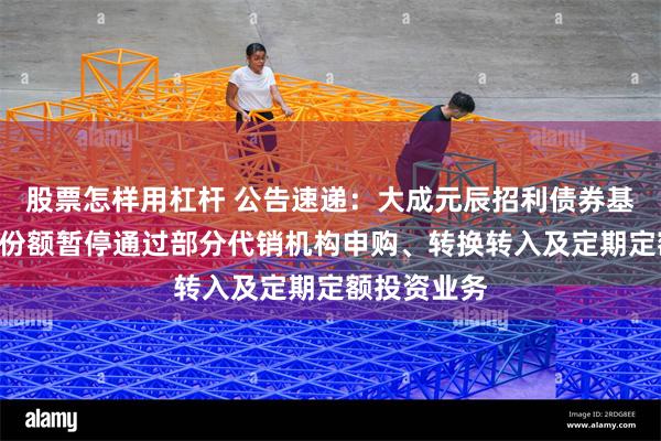 股票怎样用杠杆 公告速递：大成元辰招利债券基金A类基金份额暂停通过部分代销机构申购、转换转入及定期定额投资业务