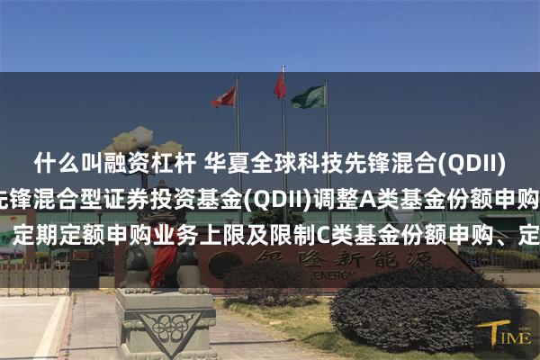 什么叫融资杠杆 华夏全球科技先锋混合(QDII)C: 关于华夏全球科技先锋混合型证券投资基金(QDII)调整A类基金份额申购、定期定额申购业务上限及限制C类基金份额申购、定期定额申购业务上限的公告