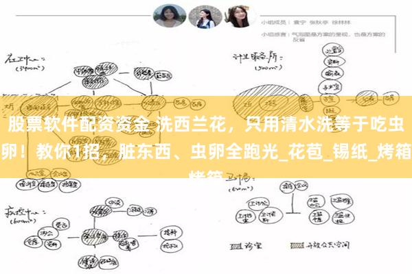 股票软件配资资金 洗西兰花，只用清水洗等于吃虫卵！教你1招，脏东西、虫卵全跑光_花苞_锡纸_烤箱