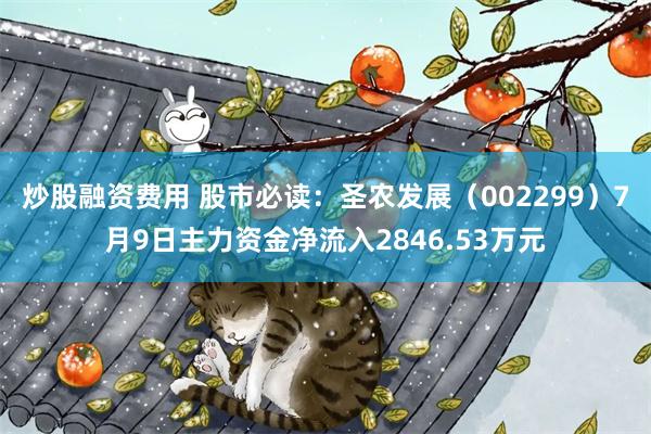 炒股融资费用 股市必读：圣农发展（002299）7月9日主力资金净流入2846.53万元