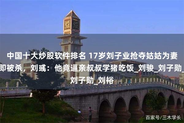 中国十大炒股软件排名 17岁刘子业抢夺姑姑为妻后随即被杀，刘彧：他竟逼亲叔叔学猪吃饭_刘骏_刘子勋_刘裕