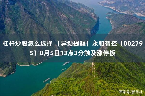 杠杆炒股怎么选择 【异动提醒】永和智控（002795）8月5日13点3分触及涨停板