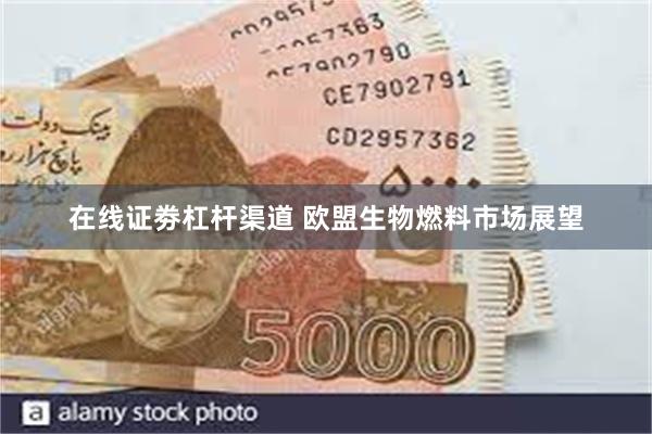在线证劵杠杆渠道 欧盟生物燃料市场展望