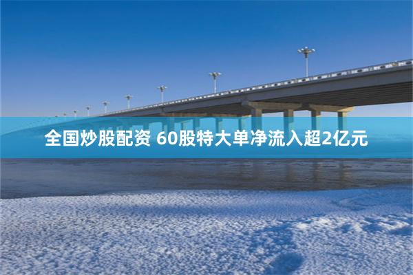 全国炒股配资 60股特大单净流入超2亿元